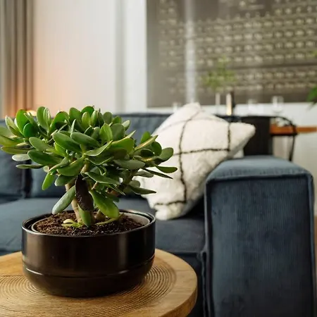 2 - New Building & Parking