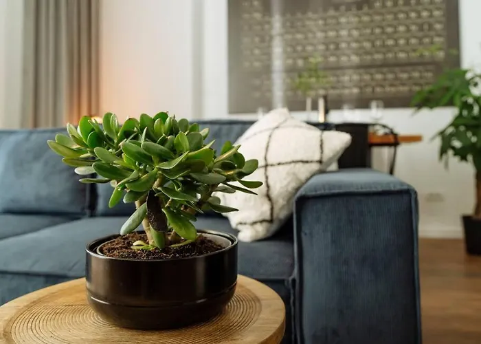 2 - New Building & Parking